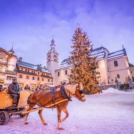 Luxury Wood Village *