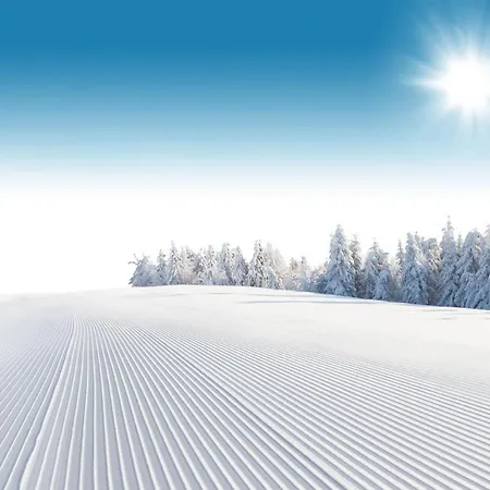 Luxury Wood Village Appartamento *