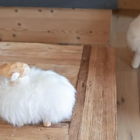 Luxury Wood Village * Megève