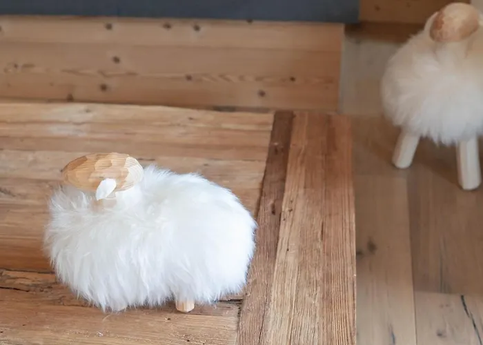 Luxury Wood Village * Megève